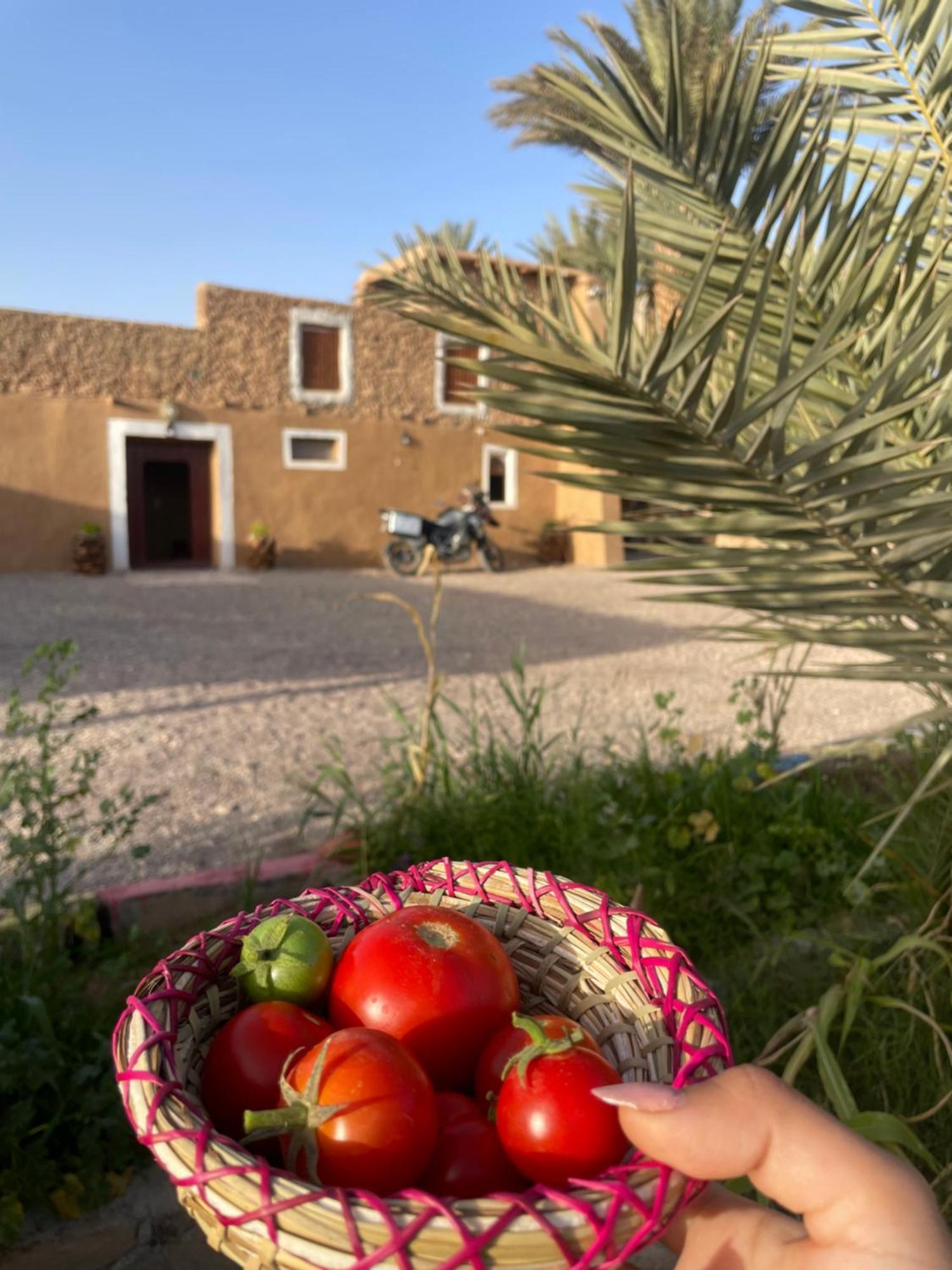 Maison D'Hote Dar Imrane Татта Экстерьер фото
